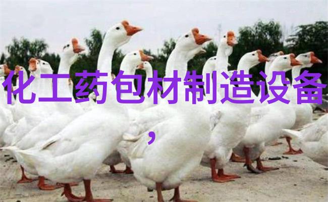 安岳4012柠檬包装机