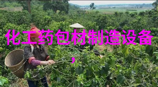 无心卷纸包装机